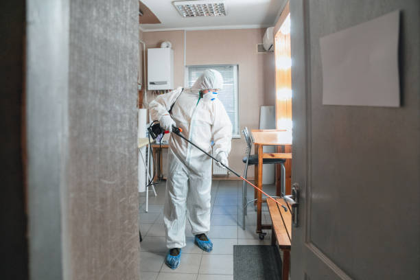 Why You Should Choose Our Mold Remediation Services in Watergate, FL